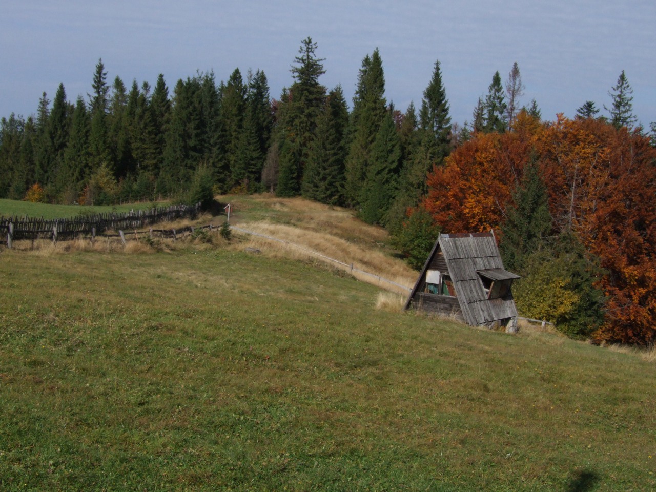Gorce. Zimowym Szlakiem schronisk. Stare Wierchy, Maciejowa