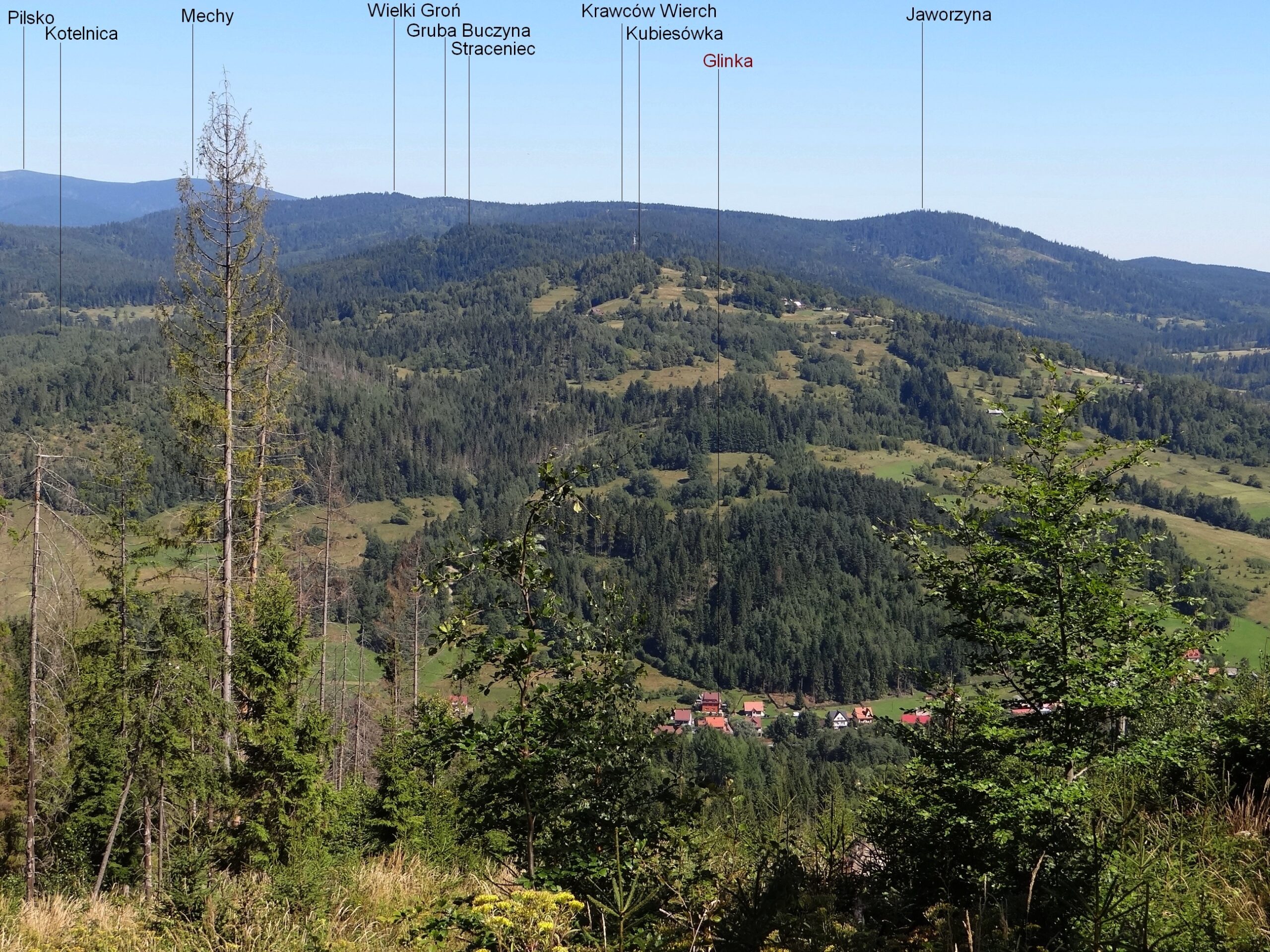 Beskid Żywiecki: Krawców Wierch