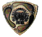 Dla Najwytrwalszych - Srebrna