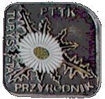 Duża Srebrna