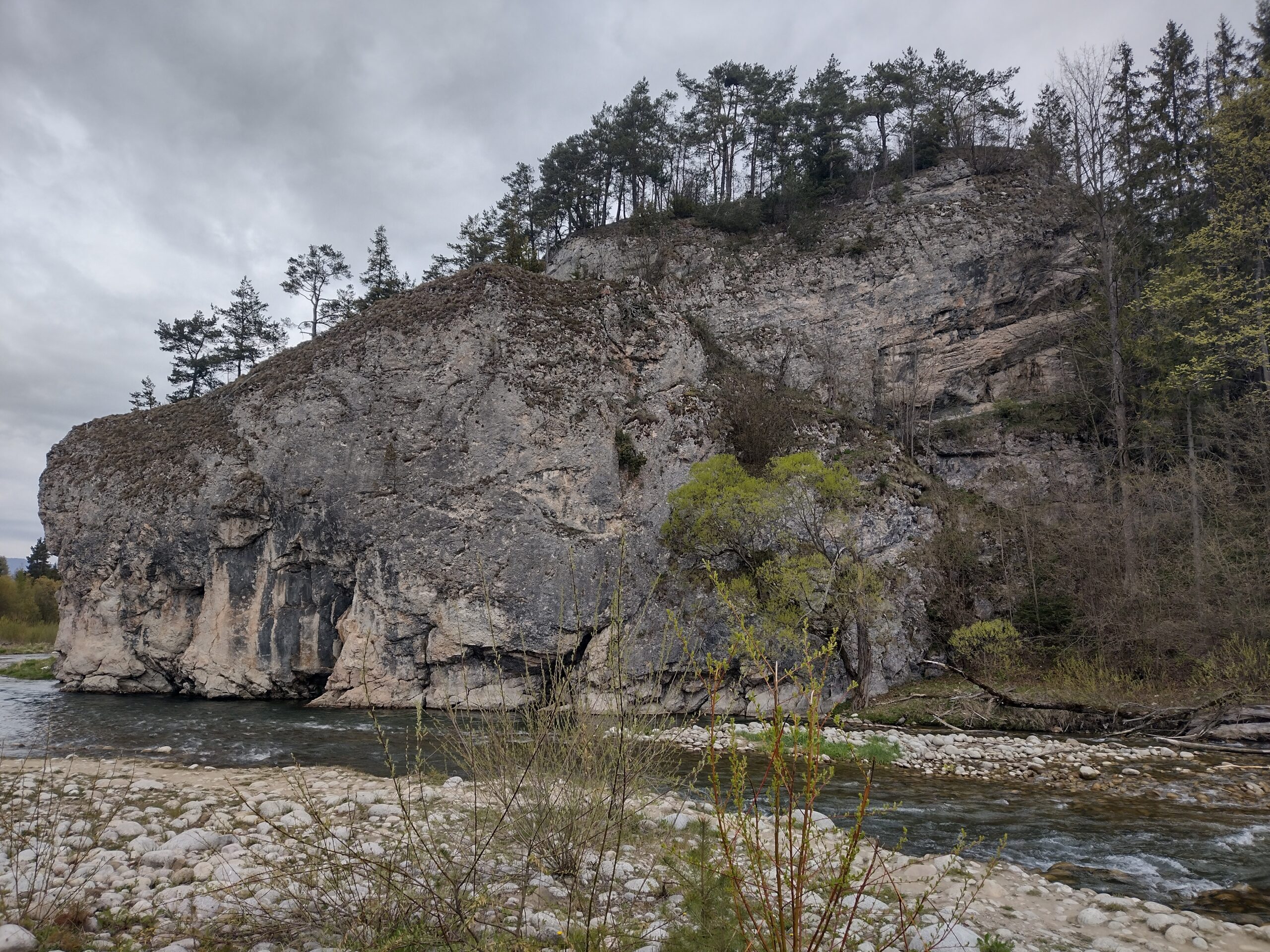 Pieniny Spiskie : Rezerwat „Przełom Białki”. Dursztyn - Żar-Falsztyn. Niedzica - zwiedzanie zamku. - obrazek 2