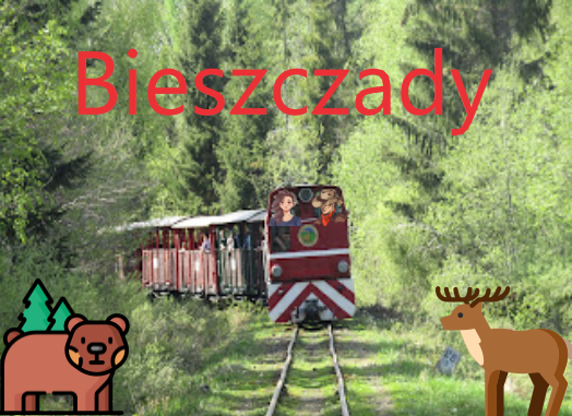 Szlak niebieski – Balnica – Wołosate (etap ostatni)