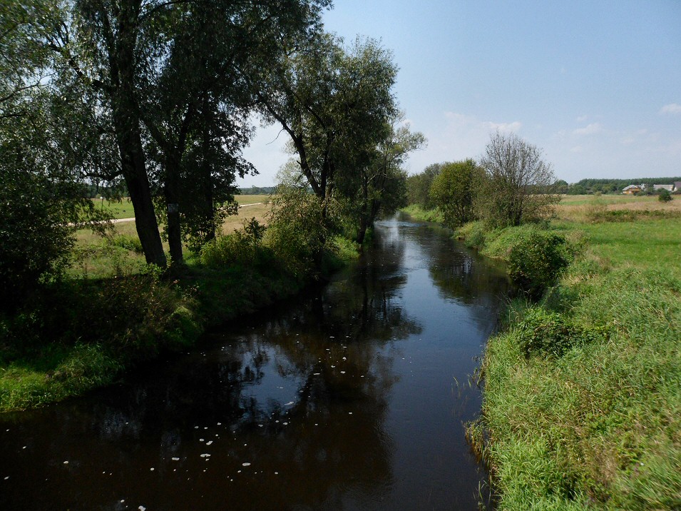 Spływ Rzeką Czarna Włoszczowska: Krogulec – Bobrownik (nad Pilicą) (30 km)
