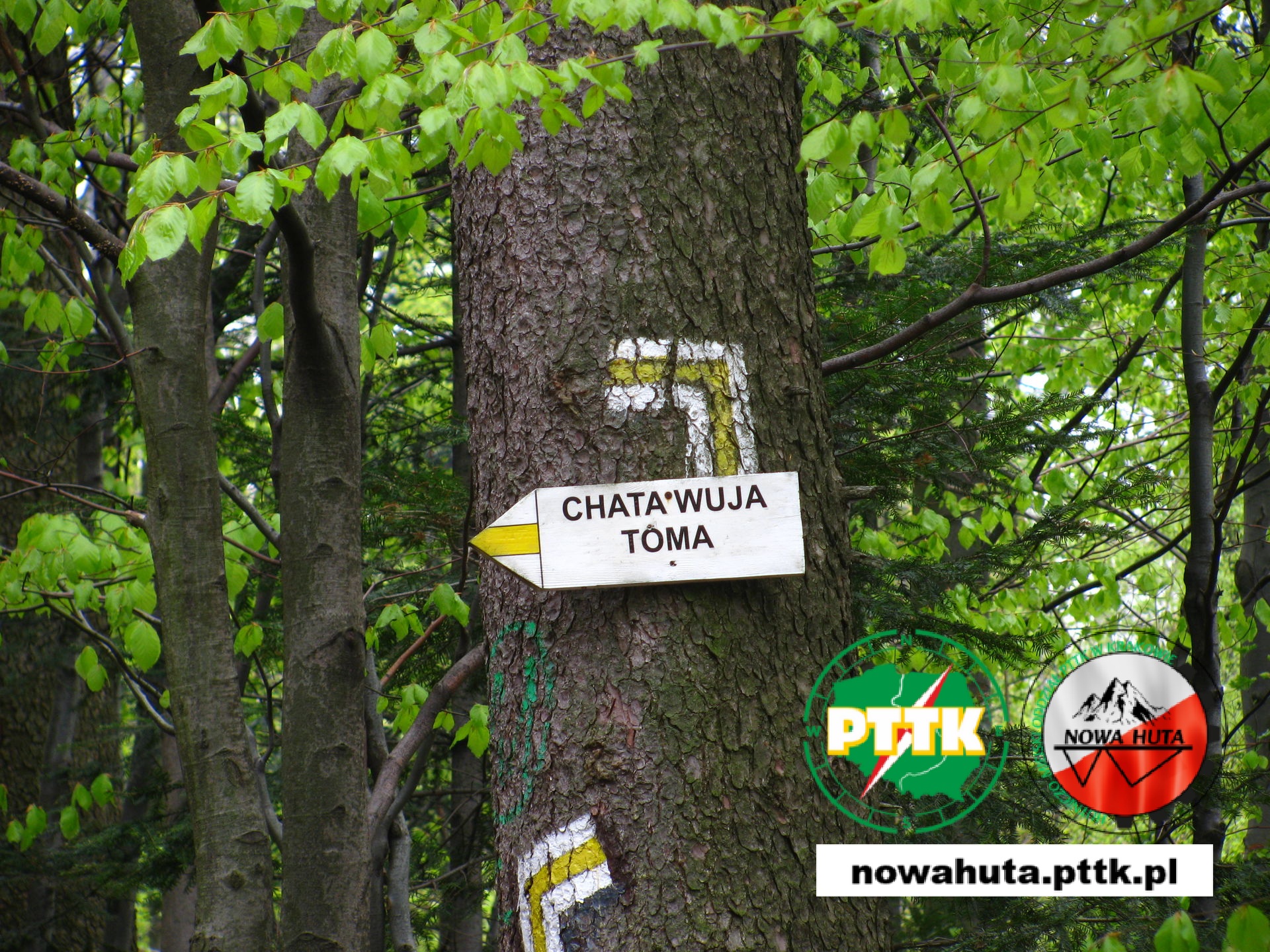 Beskid Śląski Brenna Bukowa - Przełęcz Karkoszczonka (schronisko chata Wuja Toma) - Stołów - schronisko PTTK na Błatniej - Wielka Cisowa - Brenna